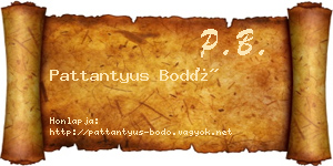 Pattantyus Bodó névjegykártya